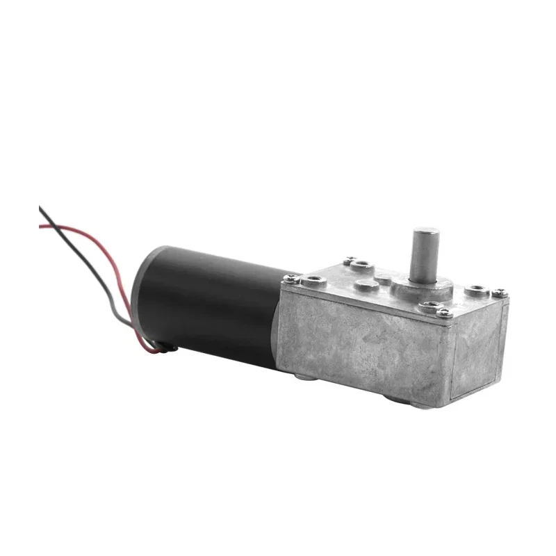 For 5500RPM High Torque Reducer Small Hollow Shaft Self-lock Engine 24V 12V Dc Micro Electric Drive Worm Gear Motor With Line