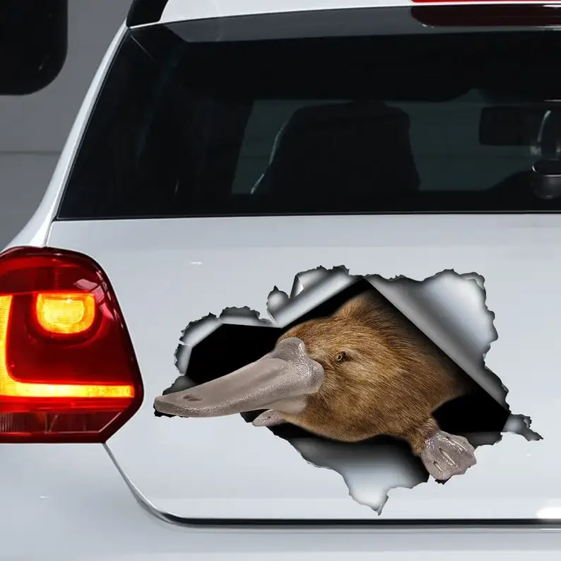 Platypus car decal , platypus magnet, platypus sticker