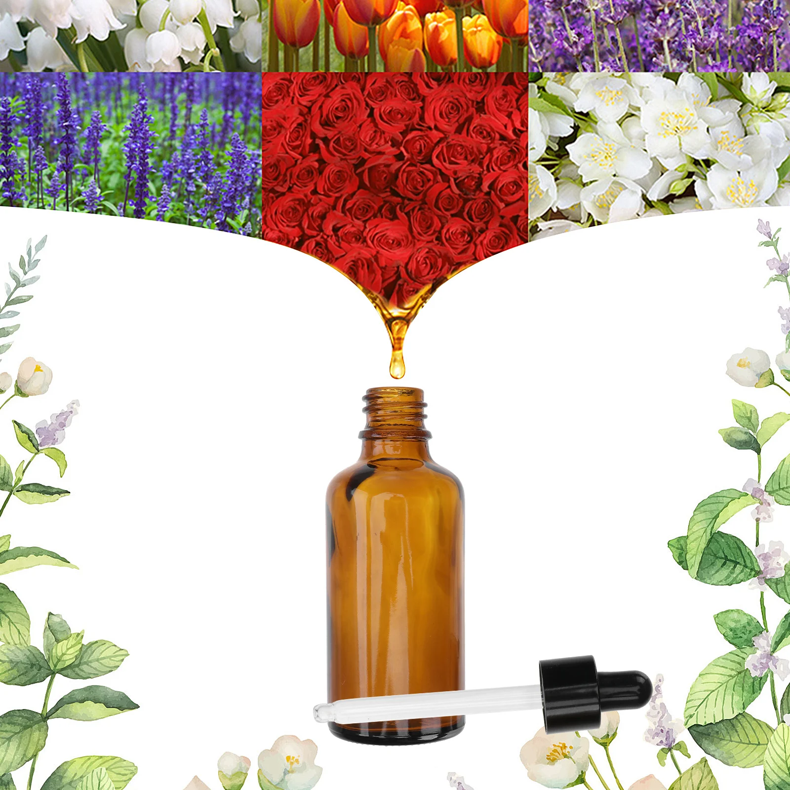 

12 Pcs Dropper Bottle Essential Oil Travel Accessories Glass Subpackaging Refillable