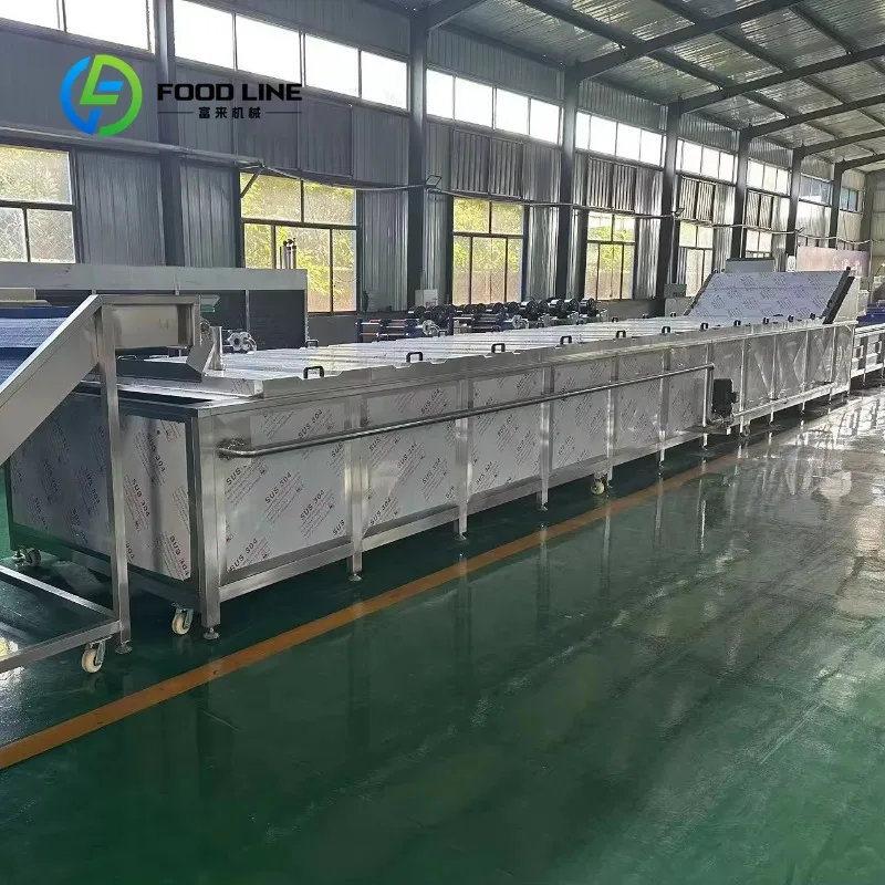 Customized size Pasteurization Bleaching Machine/Advanced Steam Bleaching Line Improves Efficiency and Quality