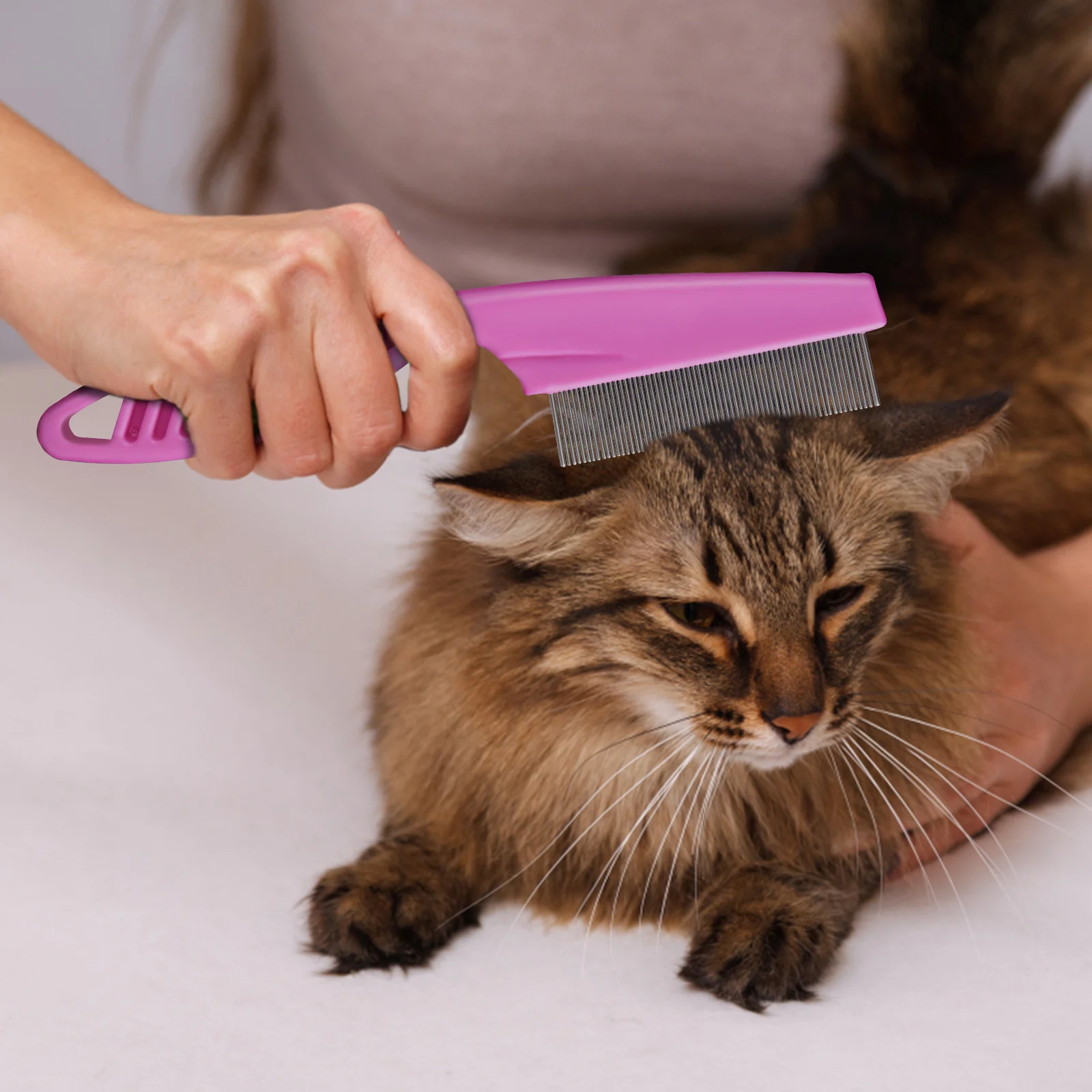 

6 Pcs Puppy Comb Dog Hair Grooming Combs Stainless Steel for Pet Dematting Small Animal Metal