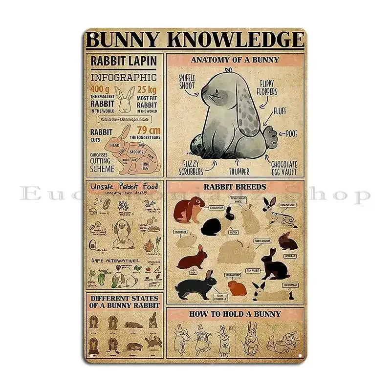 Rabbit Bunny Knowledge Art Metal Plaque Poster Wall Decor Designing Club Living Room Club Tin Sign Poster
