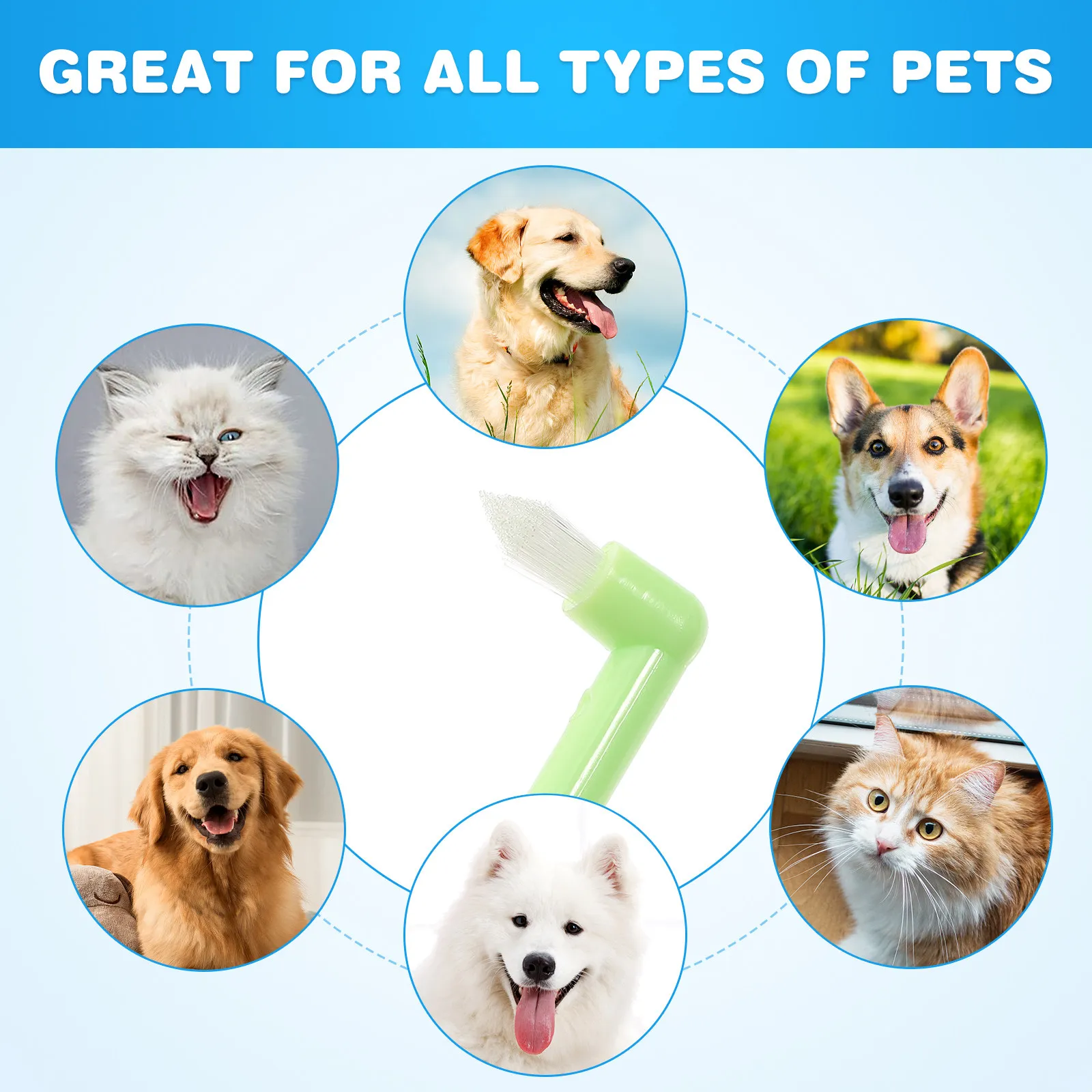 1Pcs Hygienic Pet Toothbrush Single Head Small Design Dog Toothbrush for Thorough Teeth Cleaning Comfortable Safe Pet Teeth Care