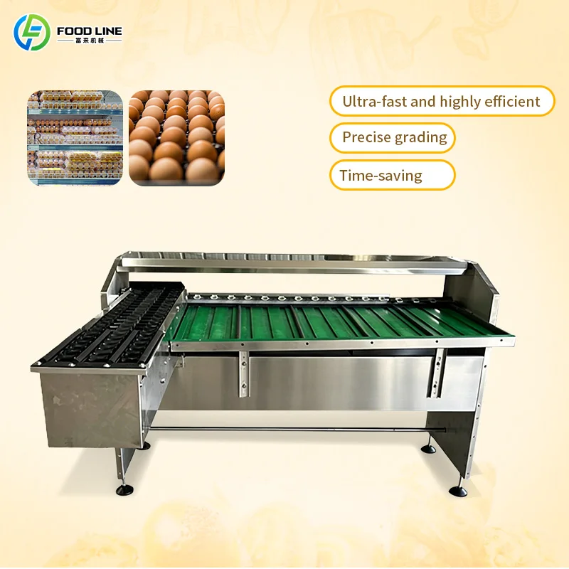 Customized Commercial Stainless Steel Automatic Egg Washing Sorting Grading Machine 5-7 Grades Weight Sorting Egg Grader
