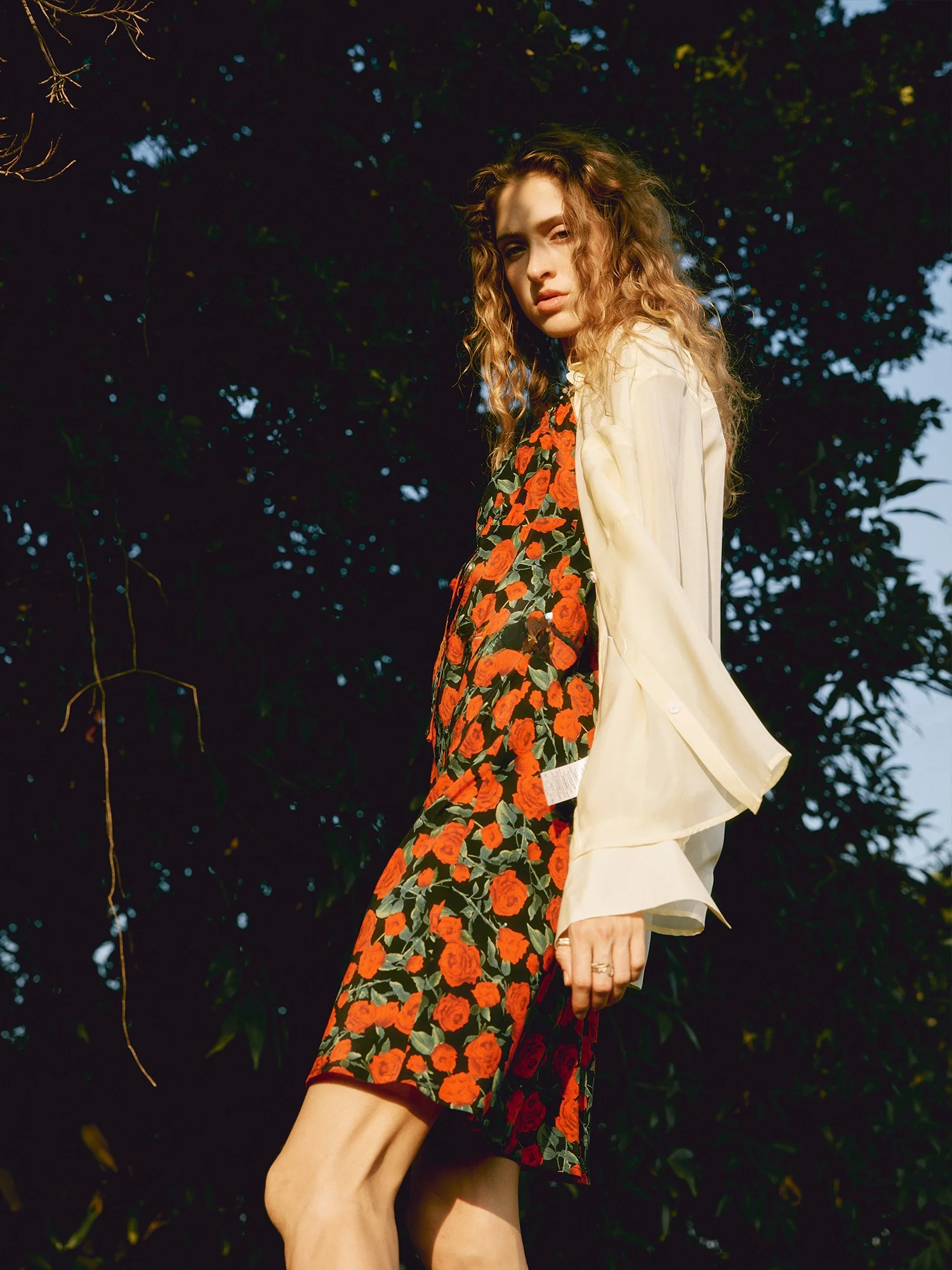 

Повседневная женская рубашка из шелкового шифона с простым декором, из натурального шелка, с длинными рукавами, прямого кроя, летняя