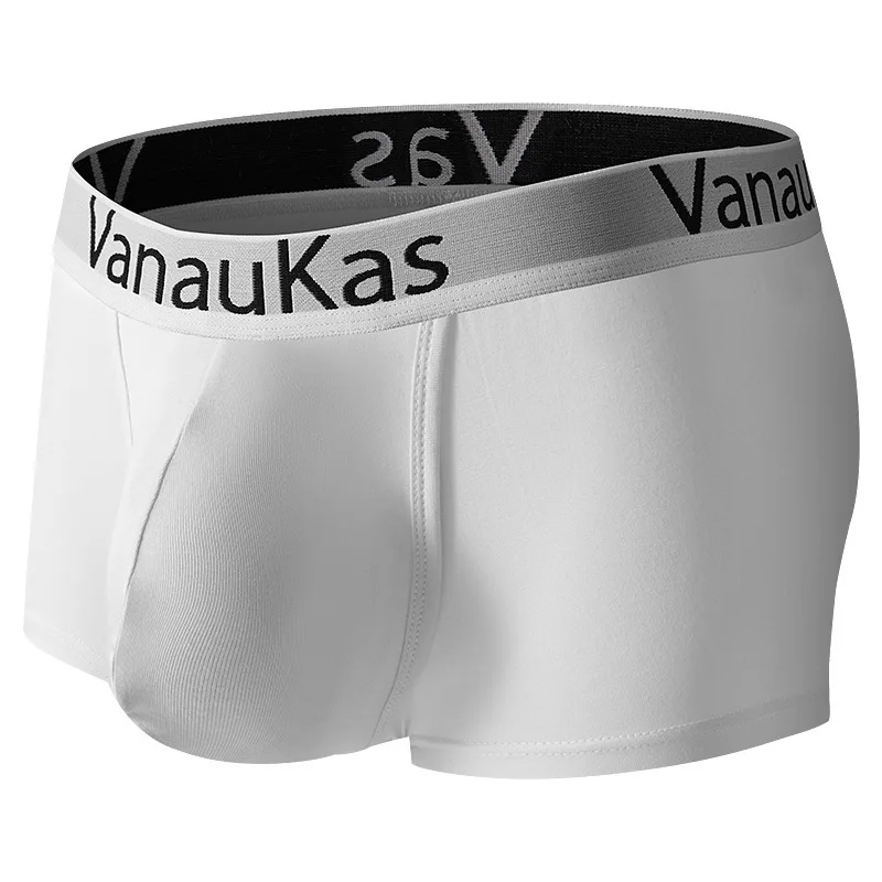 Men's Panties Separate Side Open Pouch Underwear  Thin Breathable Thin Elastic Underwear Soft Modal Boxers Calzoncillo Hombre