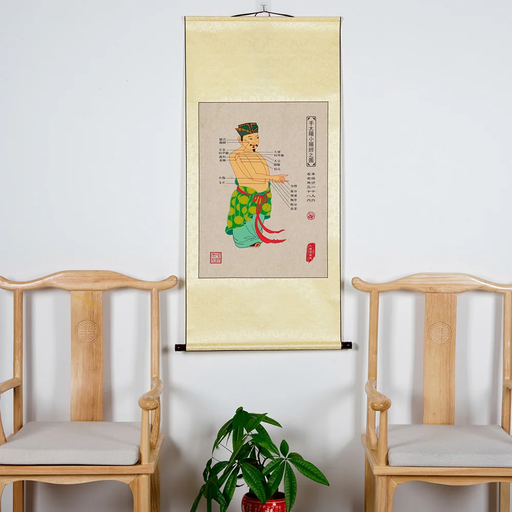 ZHONGYAN TAIHE Fourteen Meridians Wall Chart 14 Meridian Traditional Chinese Medicine Drawings