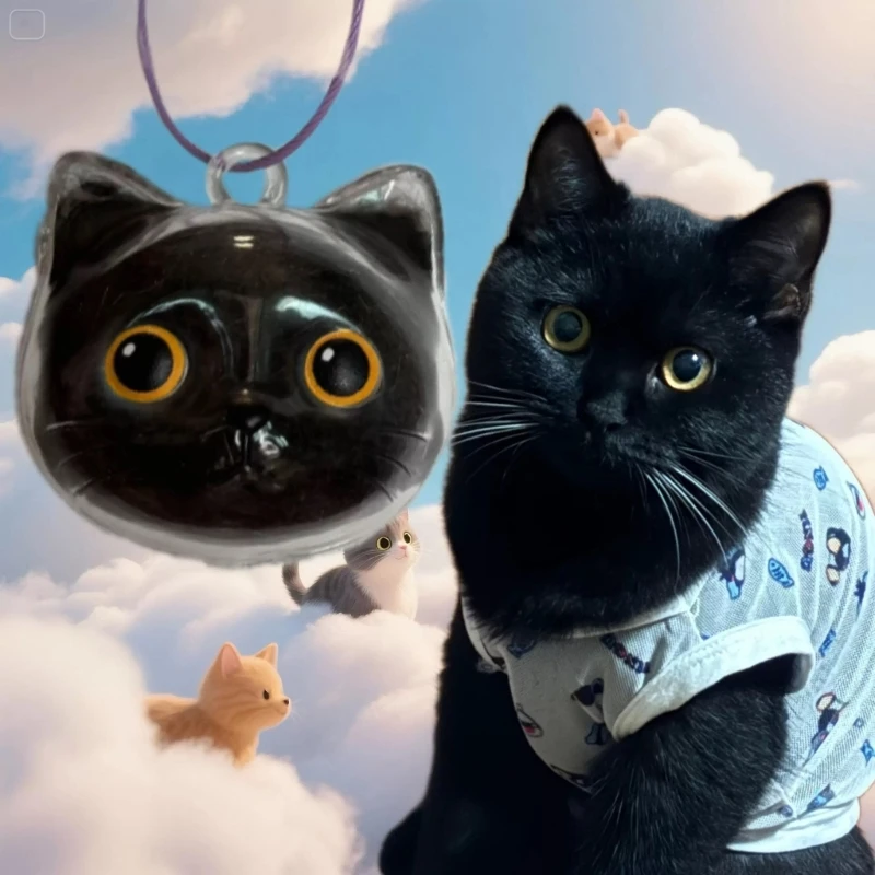 

Elegant Pet Memorial Pendant For Kitten Cats Head Hair Storage Box Plastic Clear Keepsakes Jewelry Charm Gift