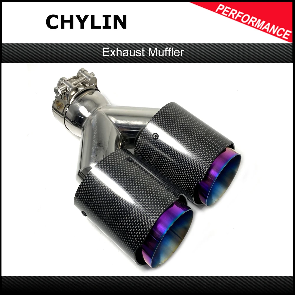 

1Pcs Dual Car Exhaust Tips Glossy Carbon Fiber Purple/Blue Stainless Pipe Double Exhaust Nozzles Muffler Tip Tail End Pipe
