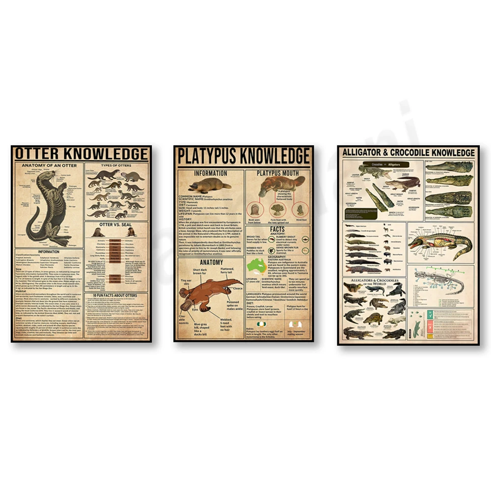 Otter information poster, crocodile information print, platypus information poster, platypus art, educational wall decoration