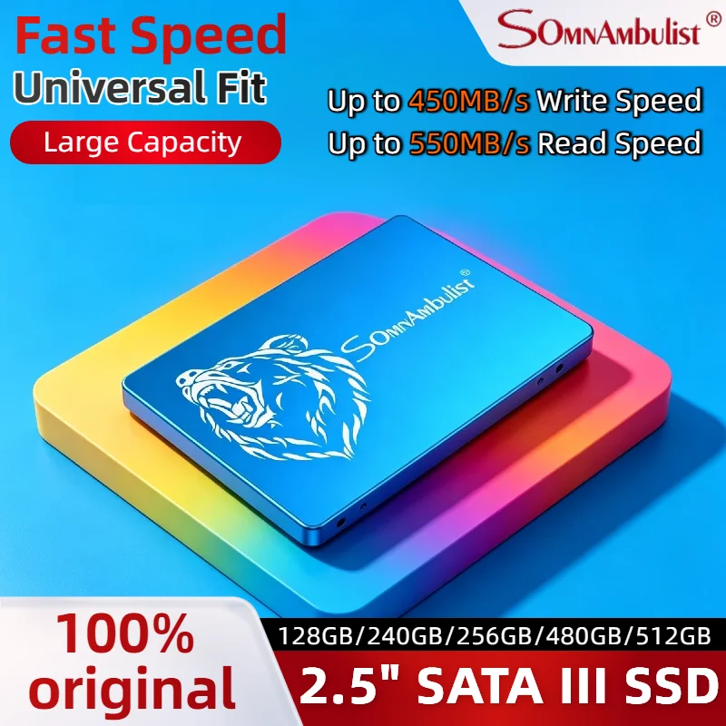 SomnAmbulist 2.5 Inch SATA Interface SSD 1TB Large Capacity High Speed Solid State Drive Internal Storage for Laptop Desktop Pro