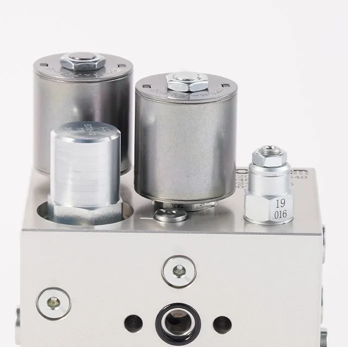 Zawór słoneczny Nowe zawory sterujące hydrauliczne ze stali nierdzewnej Wkład odpowietrzający Zawór kierunkowy Zawór zwrotny Zawór sterowany ręcznie 1 rok gwarancji