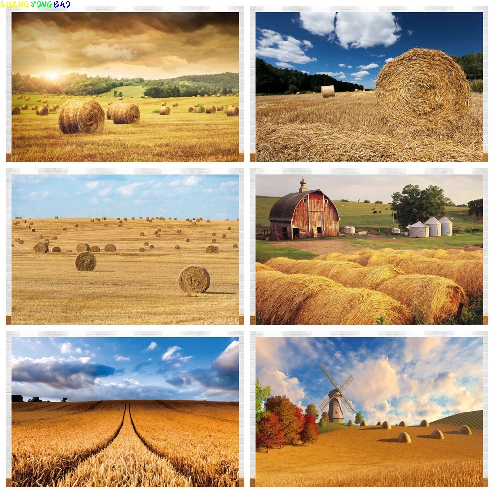 

Autumn Farm Backdrop Fall Warehouse Pumpkin Haystack Harvest Thanksgiving Baby Portrait Photography Background for Photo Studio