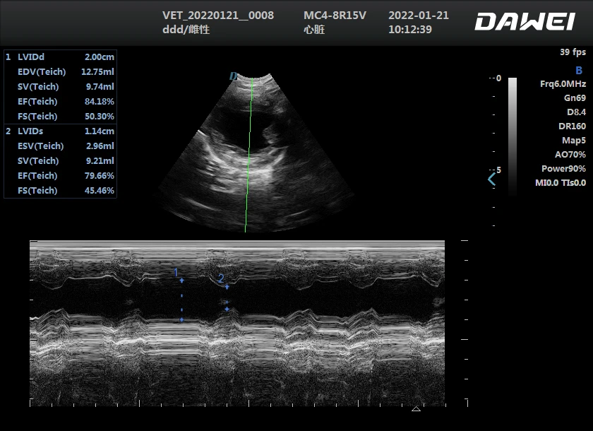 Manufacture of high-quality veterinary equipment for portable clinics 3D Doppler ultrasound machines