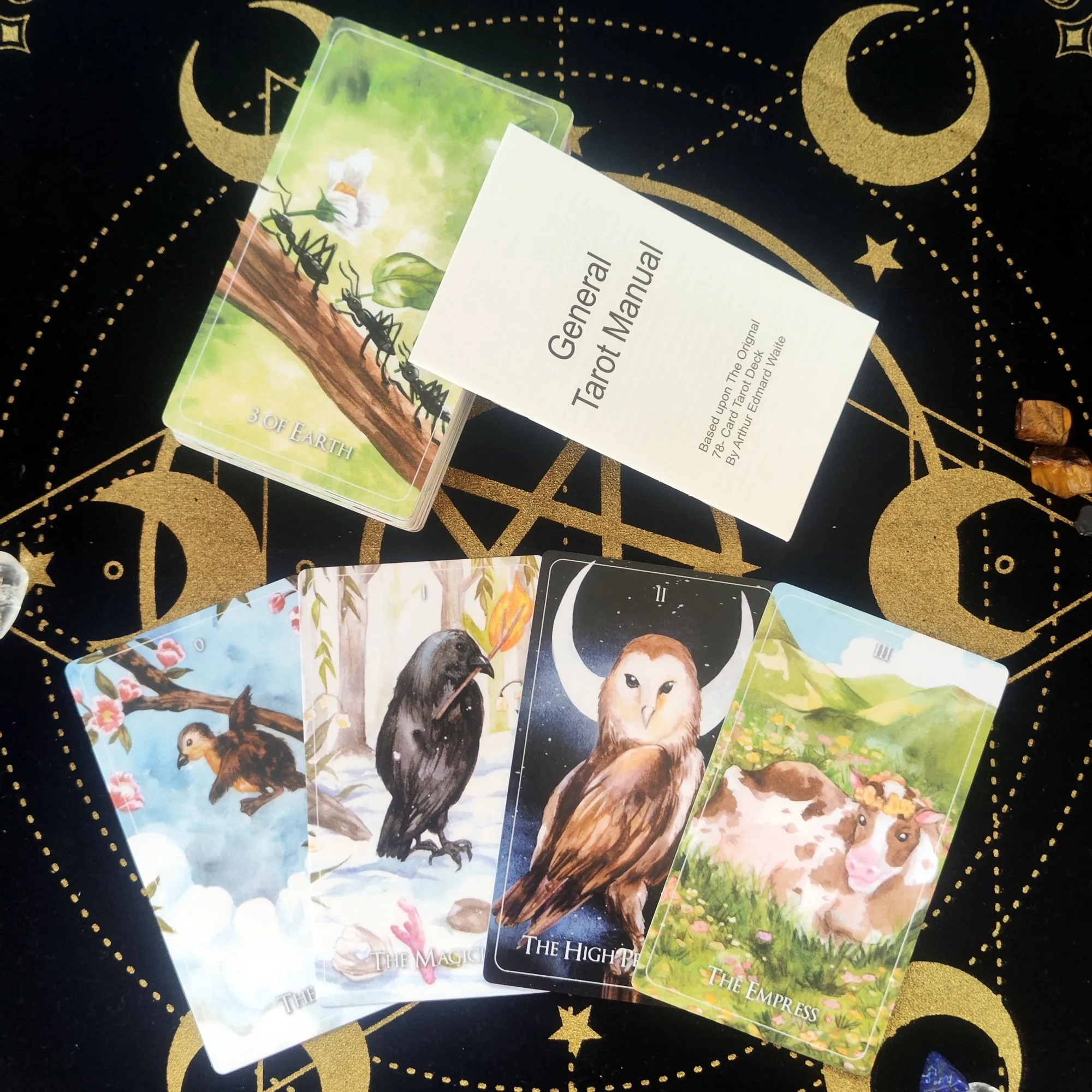 

Таро для гадания диких детей 12 см × 7 см с путеводителем 78 Колода Таро для гадания для начинающих и экспертов