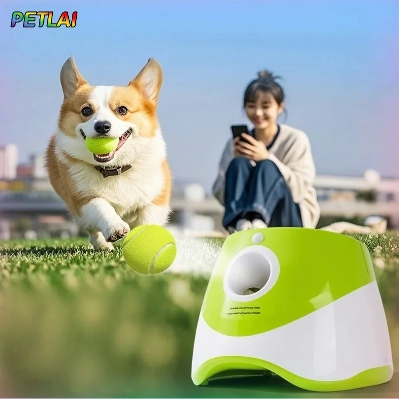 لعبة الكلب، كرات التنس، كرة التدريب المرنة التفاعلية، لعبة التدريب تيدي، لوازم الحيوانات الأليفة، المشي في الهواء الطلق، كرة مطاردة لطحن الأسنان #2