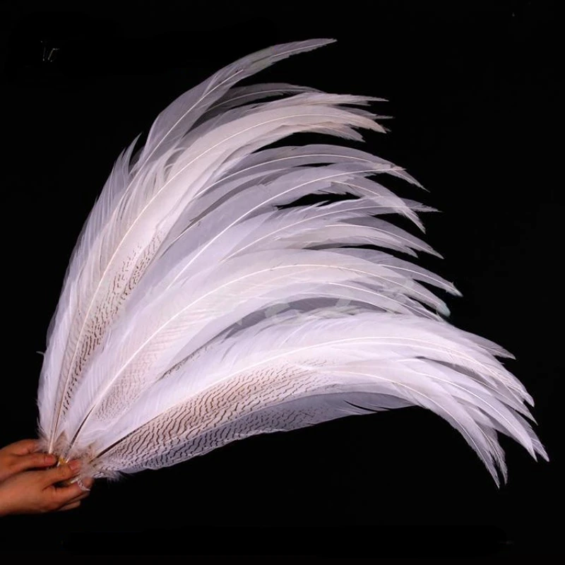 10Pcs/lot White color lady amherst pheasant silver feather 30-55cm long silver white chicken tail Feathers feathers decoration