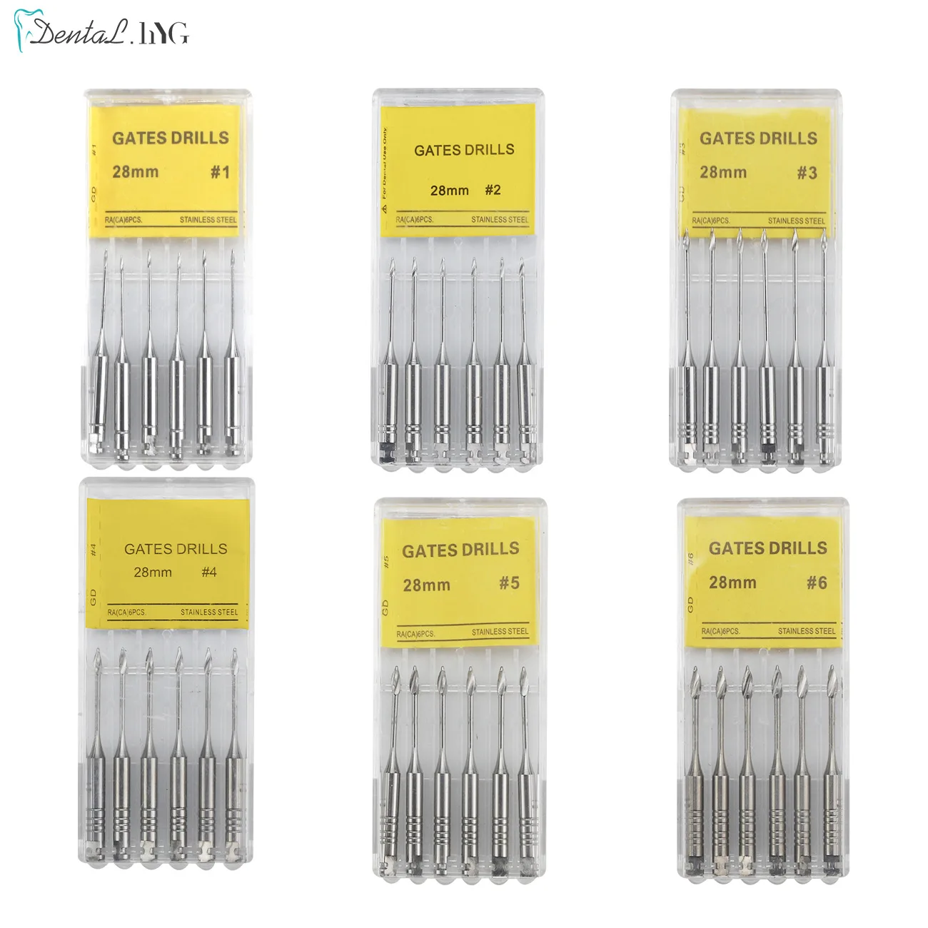 Limas endodónticas dentales, escariadores, portones de taladro Dental, limas Glidden Endo, herramienta de materiales para dentistas, 28/32mm, 6