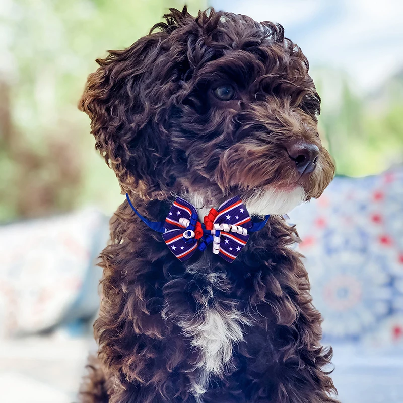 Imagem -02 - Julho Pet Filhote de Cachorro Cão Gato Laços Ajustáveis Gravatas Borboleta Bowknot Coleira de Gato Pet Grooming Acessórios 60 120 Peças 2023 Novo de