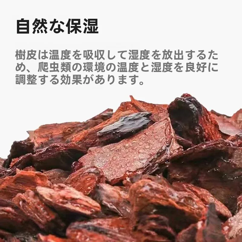 corteccia-di-pino-naturale-per-decorazione-paesaggistica-materiale-per-tartarughe-terrestri-e-creature-selvatiche-superficie-del-terreno-forestale-giallo