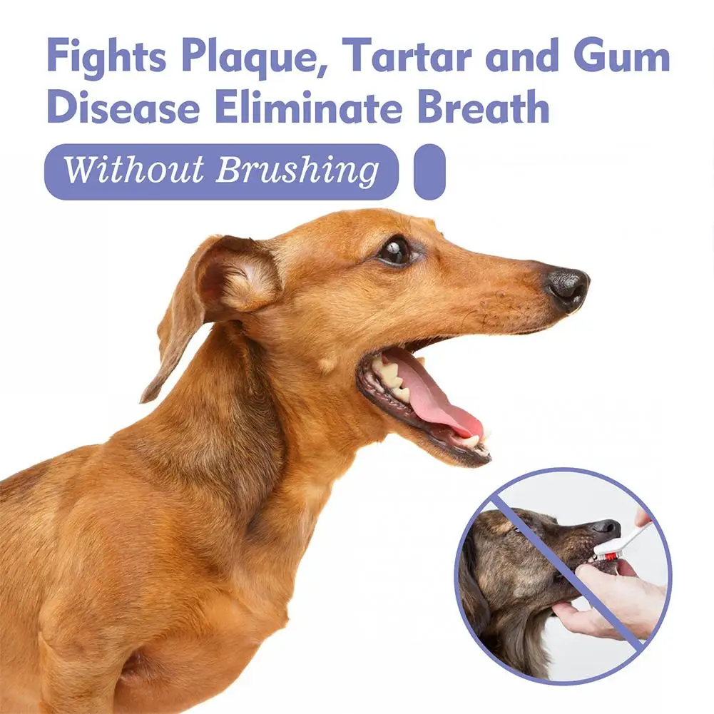 Pet Oral Mouth Spray Teeth Cleaning Dog Cat Care Teeth Clean Eliminating Freshener Breath Removing Bad Breath Pet Supply Pl L0R0