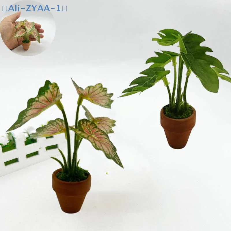 【ZYAA-1】1 Stück Miniatur-Dekoration im skandinavischen Stil für Puppenhäuser, grüne Pflanzen, Mini-Taro-Schildkrötenrücken-Grünpflanzen-Requisitenmodell