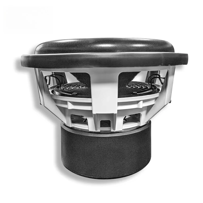 12-Inch Dual 2 Ohm …