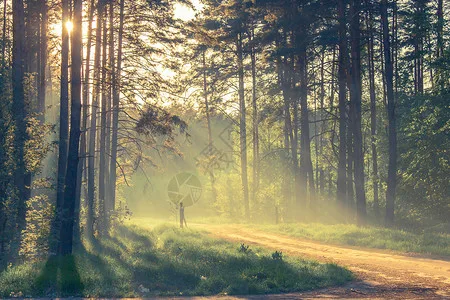 

Комплект из 4 металлических колес с бедлоками (OD 62 мм, 1.0 дюйма) для радиоуправляемых краулеров 1/18 (TRX4M, SCX24) – запчасти и аксессуары для тюнинга