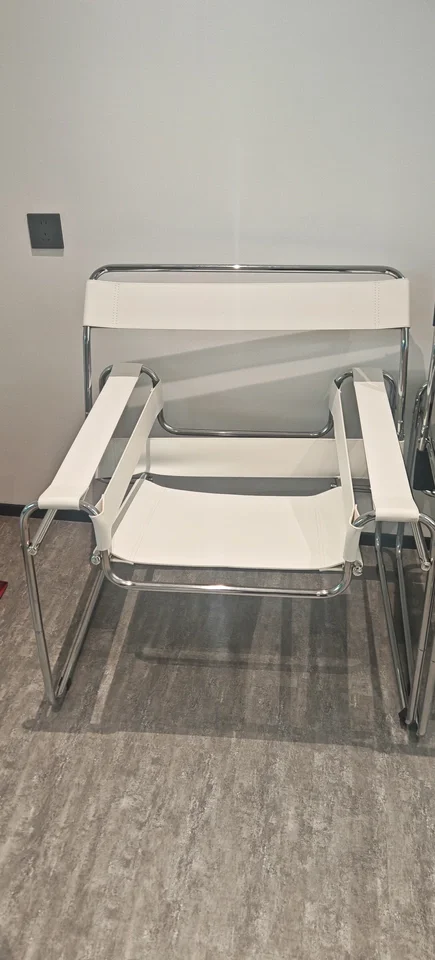 Minimalist Designer Living Room Furniture, Leisure Chairs, Stainless Steel Living Room Chairs, Home Backrests, Armchairs