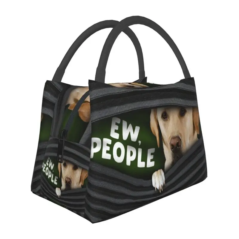 Funny Labrador Retriever Dog Lunch Boxes for Women Leakproof Thermal Cooler Food Insulated Lunch Bag Office Work Pinic Container