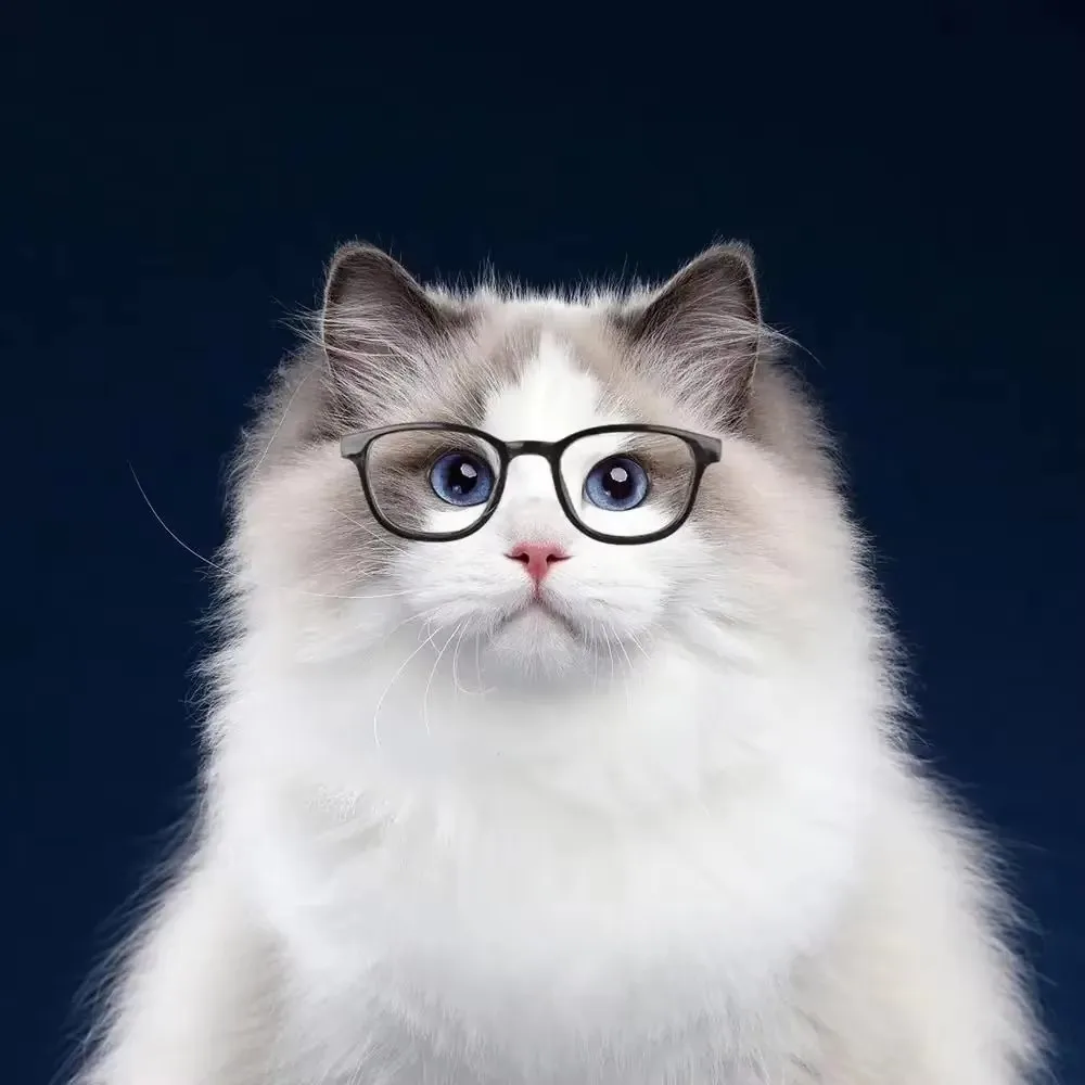 

Cute Cat Sunglasses Reflection Eyewear Glasses Pet Products For Dog Kitten Dog Cat Accessories For Small Dogs