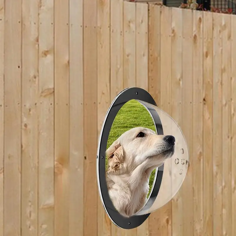 Imagem -04 - Acrílico Cúpula Janela Pet Cerca Janela Limpar Pet Dome Vista com ar Buracos Acrílico Bubble Peek Window Playground Doggie Fence