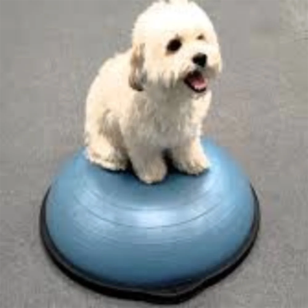 

Pet Hemisphere Balance Training Dog Muscle Recovery Post-Operative Rehabilitation Enhance The Strength Of Agility Training Tool