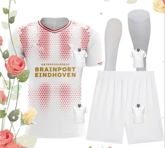 

2025 2026 PSVes kids kit Hot-selling New 25 26 psves adult kit 12-16 days Art Picture Art decorative painting