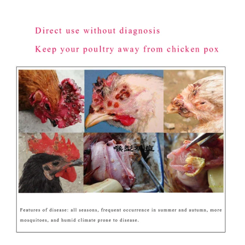 Chicken, Duck, Goose Pox, Chicken Pox, Veterinary Use, Pigeon Peas, Chicken Pox