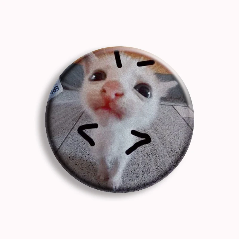 Pin STAY PAWSITIVE - Pata de Gato - Animales - Broches y Pines
