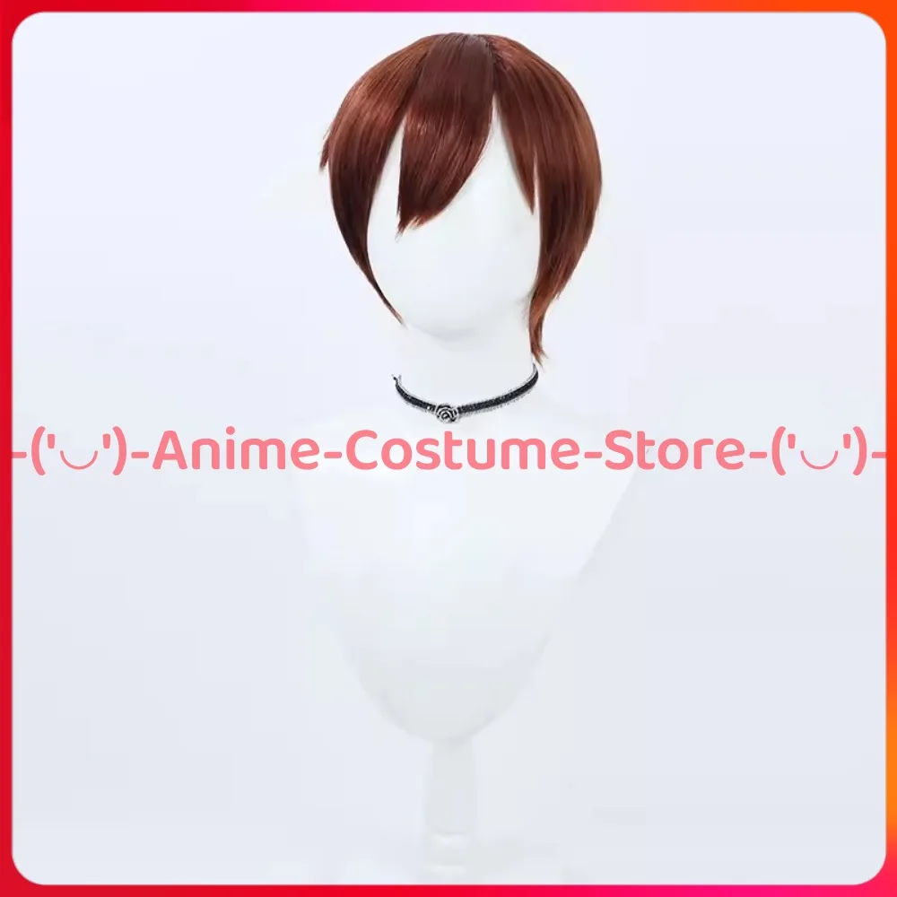 Delicious in Dungeon Chilchuck Tims Cosplay Wig Laios Party Anime Game Character Halloween Carnival Costume Wigs Synthetic Hair