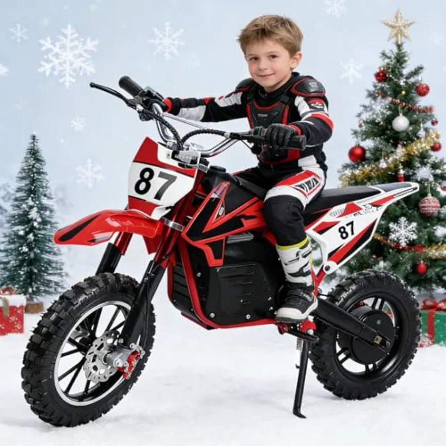 

Electric Dirt Bike 6V 500W Off Road Motorcycle with 10-Inch Wheels High Speed 25KM/H Red Frame Lightweight Portable Design