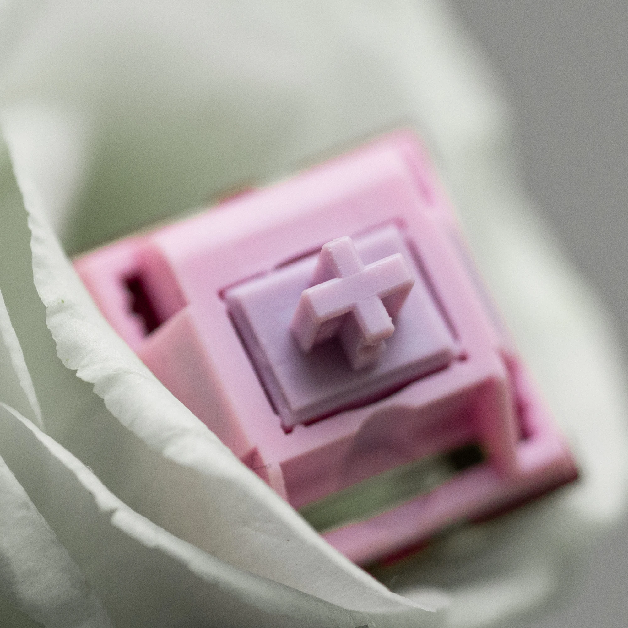 Moyu Muse Switch Rg…