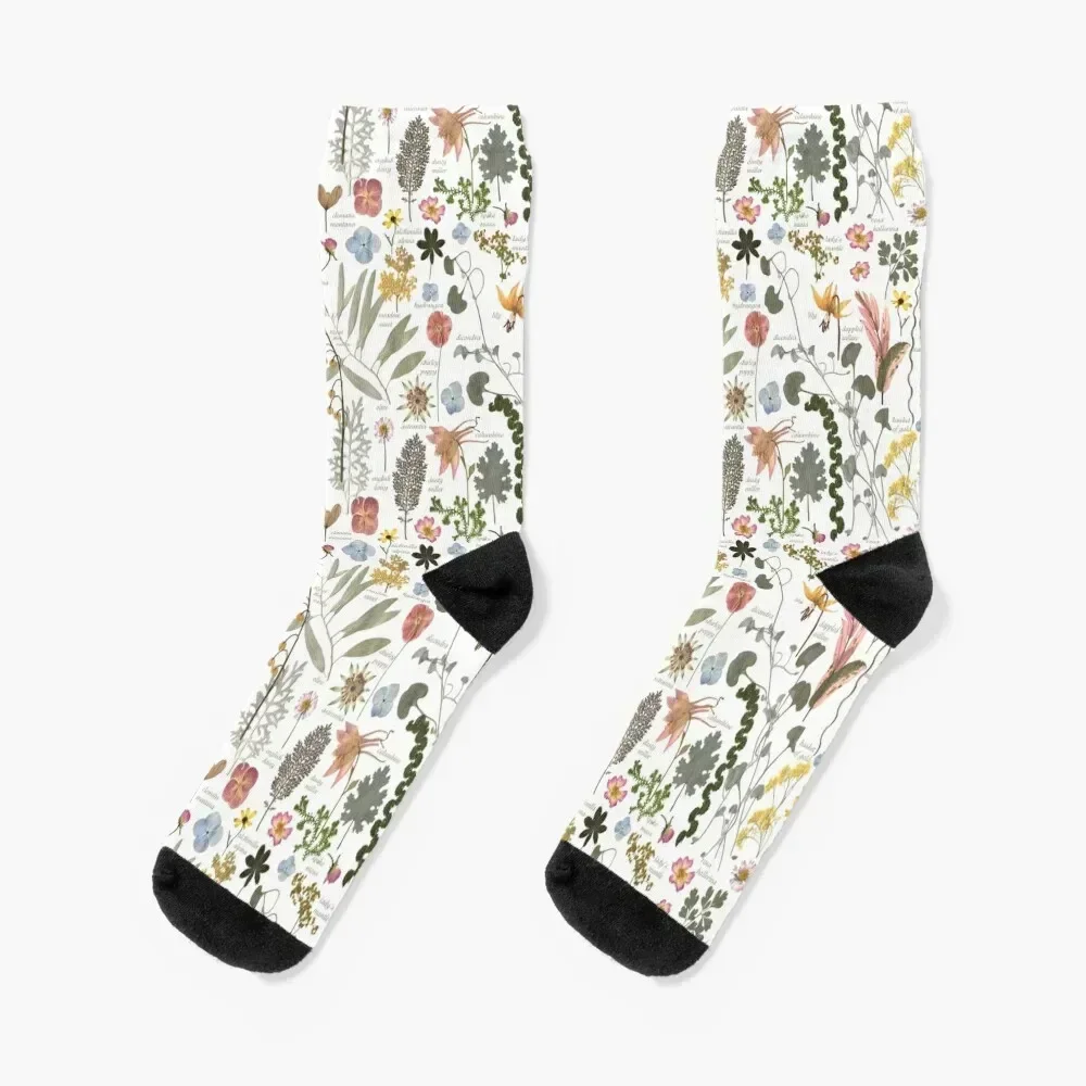 

Botanical Sketchbook Pressed Flower Garden Socks designer brand luxury shoes Argentina Socks Male Women's