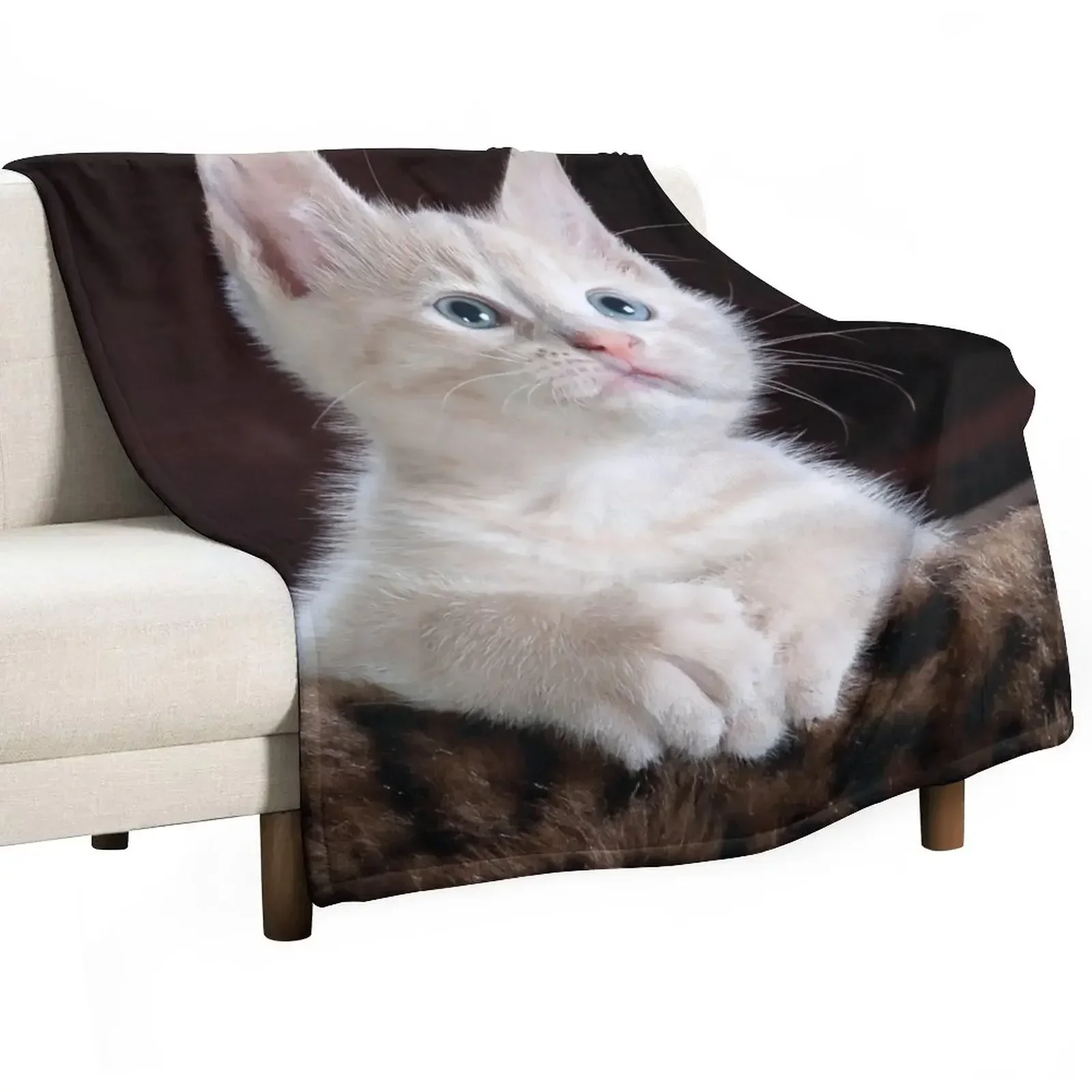 

Cute Cat Throw Blanket Bed covers Flannel Sofa Giant Sofa Blankets