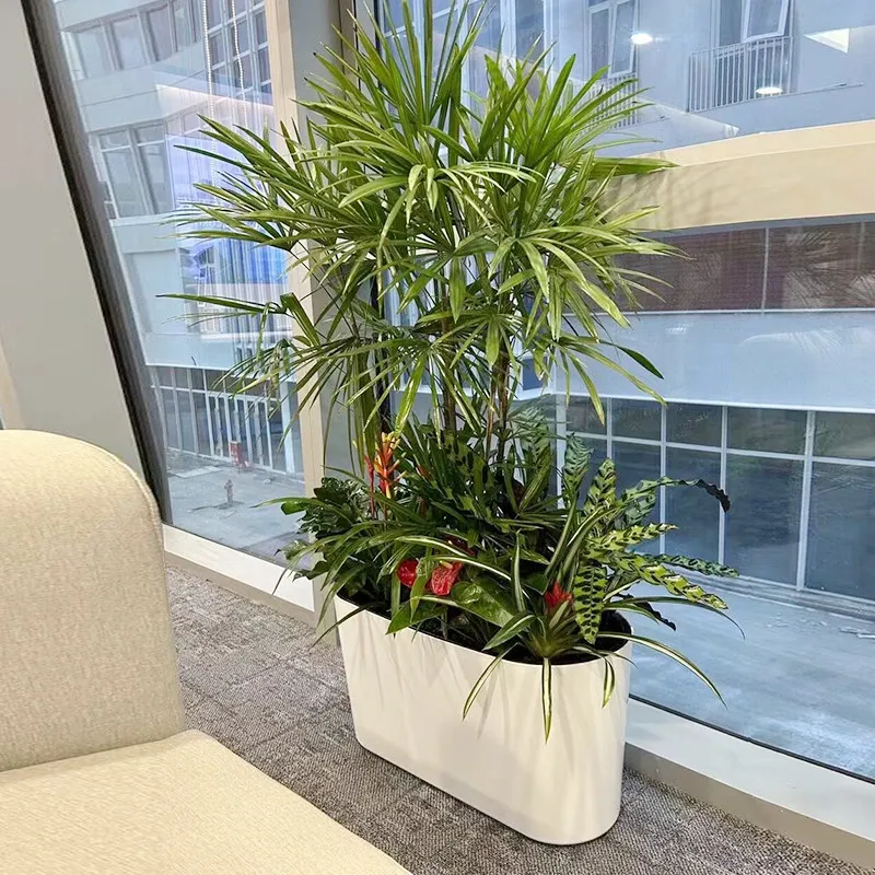 

DSA indoor partition flower box landscaping self-priming lazy outdoor balcony large green plant flower slot rectangular flower