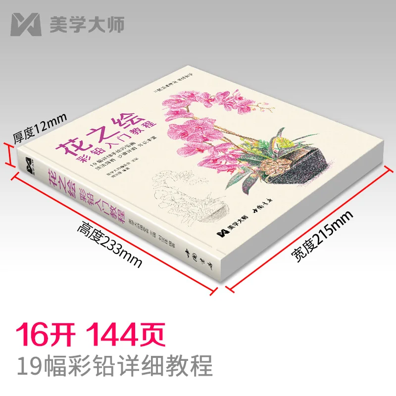 Painting of flowers, introductory tutorial on colored lead, zero-based hand-drawn illustrations, succulent copying of flowers an