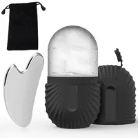 New Ice Face Roller Stainless Steel Gua Sha Tool Set Skin Care Beauty Set Face Massage Roller Lifting Contouring Tool Reusable