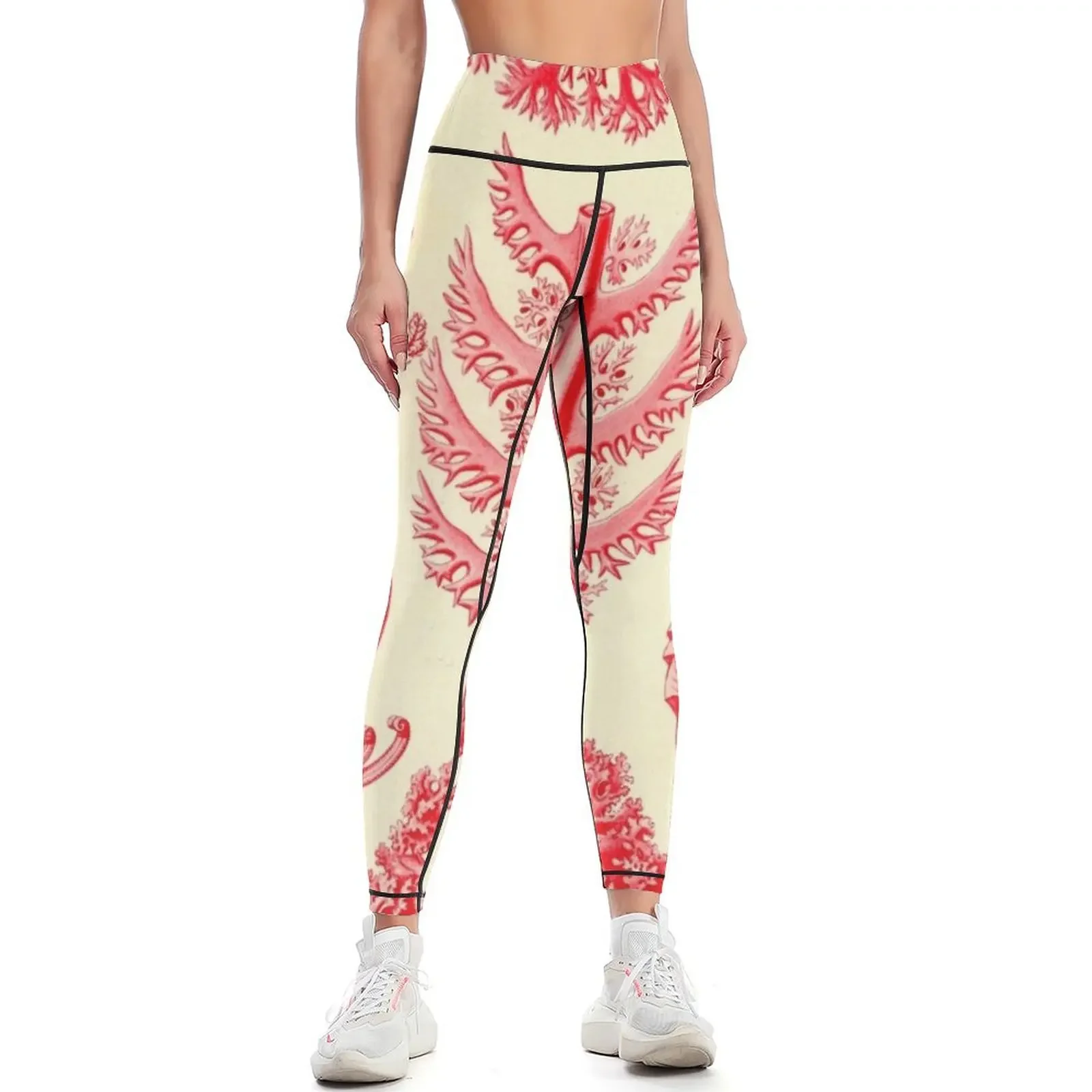 

Florideae - Ernst Haeckel Leggings Fitness clothing legging pants raises butt jogging pants sports for gym Womens Leggings