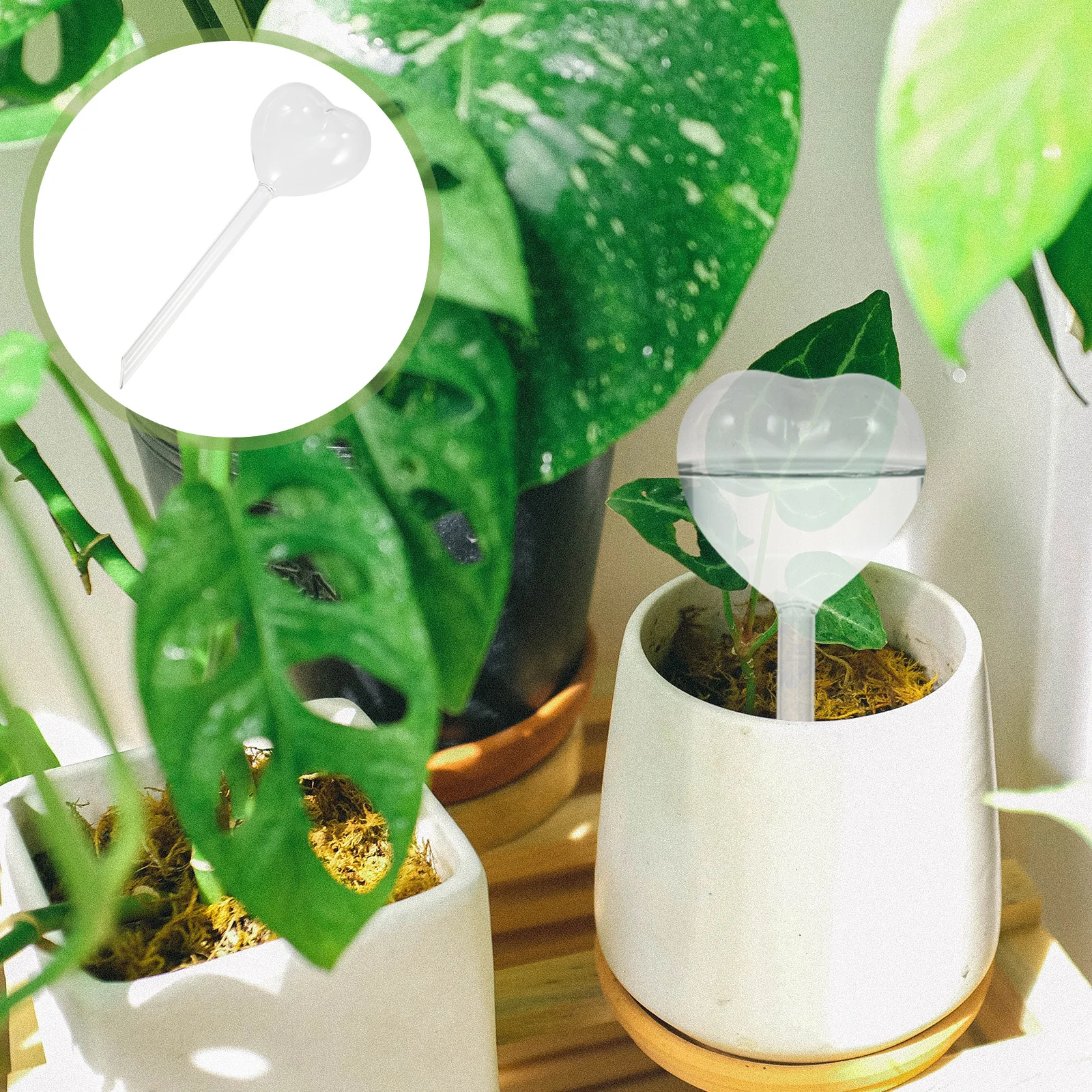 

Automatic Flower Watering Device Glass Material Water Saving Self Watering Tool for Plant Pot Greenhouse Use Plant Waterer