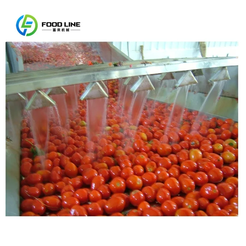 Maßgeschneiderte Produktionslinie für automatische Tomatenpaste, professionell, werkseitig entworfen, hergestellt