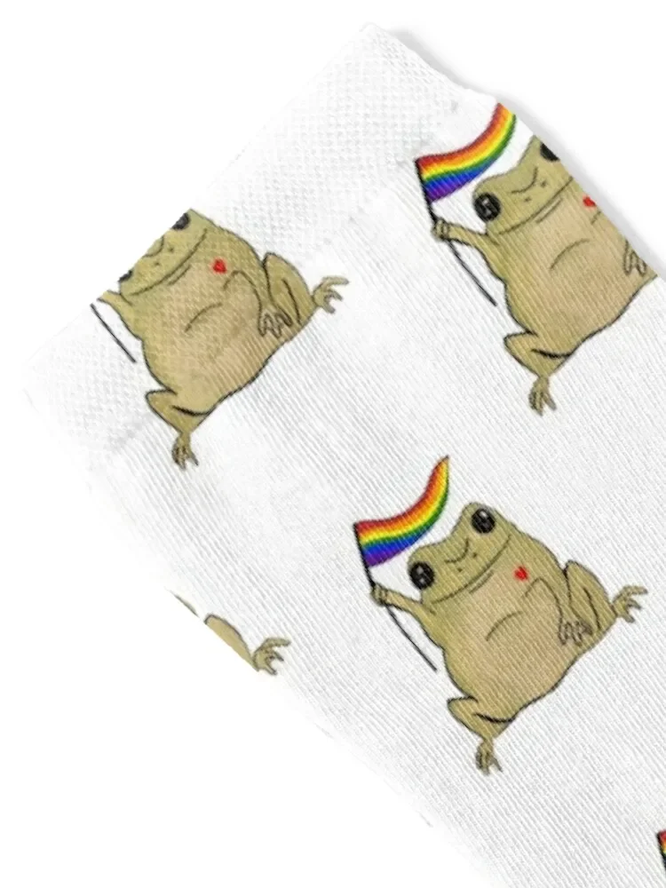 Pride flag frog Socks warm winter aesthetic valentine gift ideas Socks For Men Women's