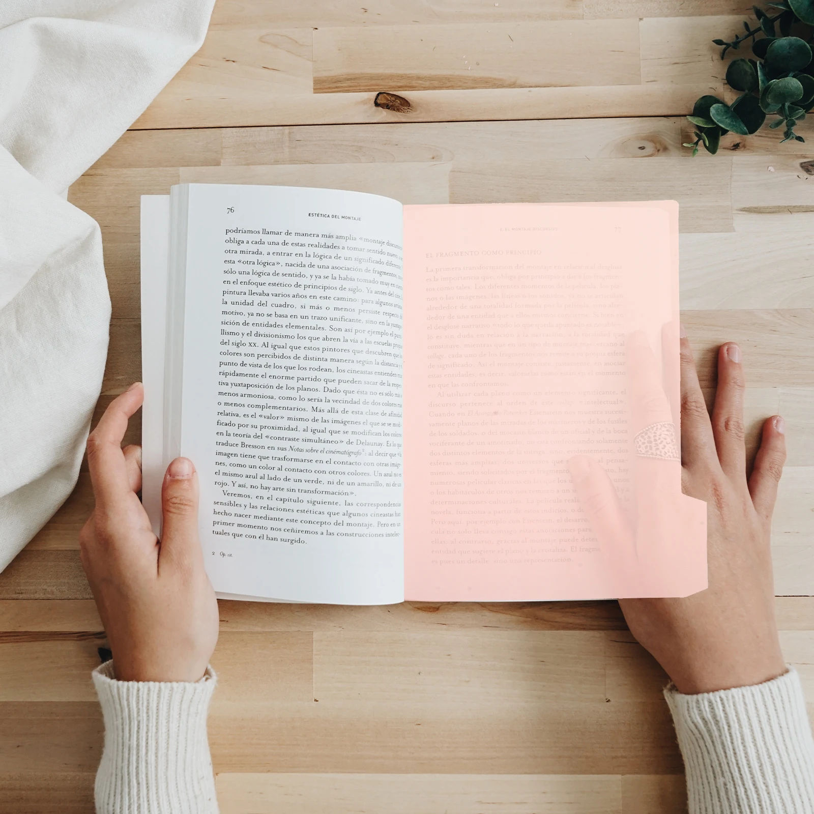 A4 Coil Notepad 40 Pages Multicolor Tabs Spiral Notebook School Office Supplies Taking Binder Index Dividers File