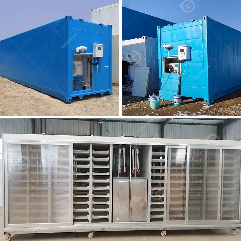 Grass Growing Grain Sprouting Tray Barley Hydroponic Fodder Equipment Cabinet Sprout Make Production Line Machine customize